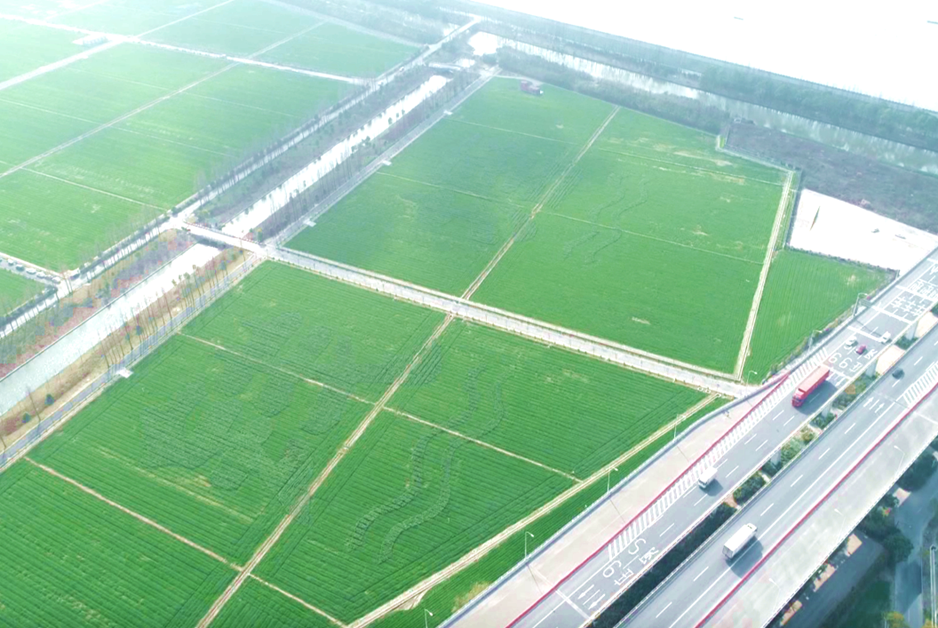 无人机飞上农田