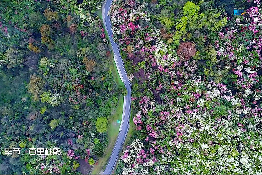 新华网航拍：绿色贵州 如诗画卷