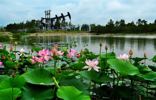 OGCI发布最新战略 中国石油加速推进“双碳”目标 OGCI发布最新战略 中国石油加速推进“双碳”目标