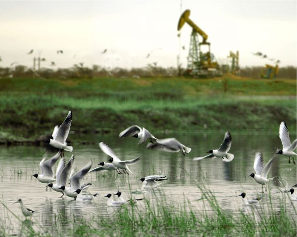 OGCI发布最新战略 中国石油加速推进“双碳”目标 OGCI发布最新战略 中国石油加速推进“双碳”目标