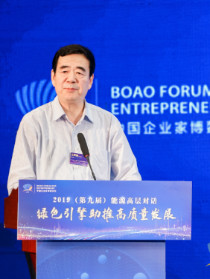 中国工程院院士 王双明