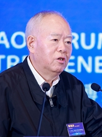 中国工程院院士曹湘洪