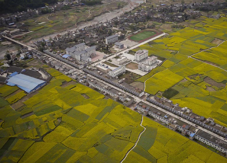 国家能源局部署芦山地震应急救灾工作