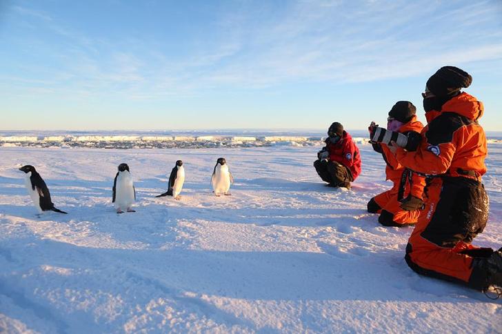 &ldquo;雪龙&rdquo;号的&ldquo;来客&rdquo;