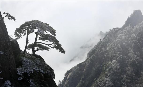 缤纷四月天 春雪落黄山