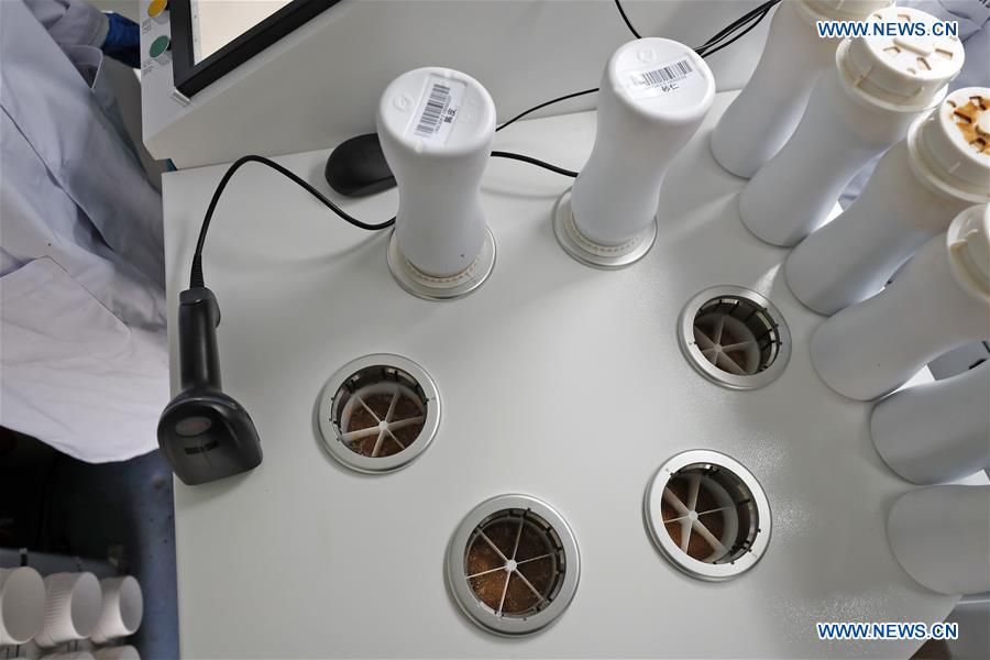 CHINA-WUHAN-COVID-19-TEMPORARY HOSPITAL-TCM-SMART PHARMACY (CN)