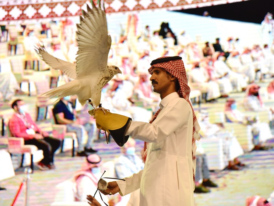 Mideast in Pictures New world record a U.S. falcon sold for nearly half mln USD Xinhua