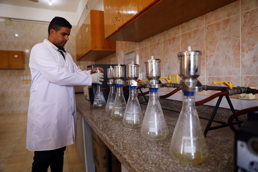 Aquaculture research lab helps increase Egypt's fish production Xinhua