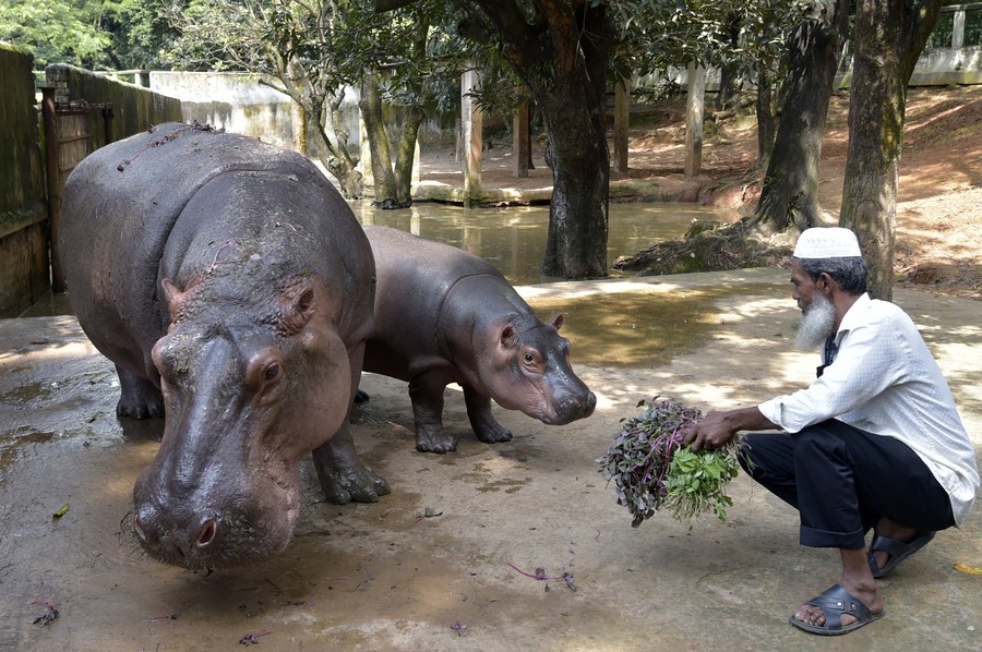 AsiaAlbum: A glimpse into Bangladesh National Zoo in Dhaka - Xinhua
