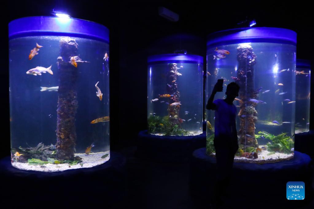 Hurghada Grand Aquarium in Egypt provides visitors with marine