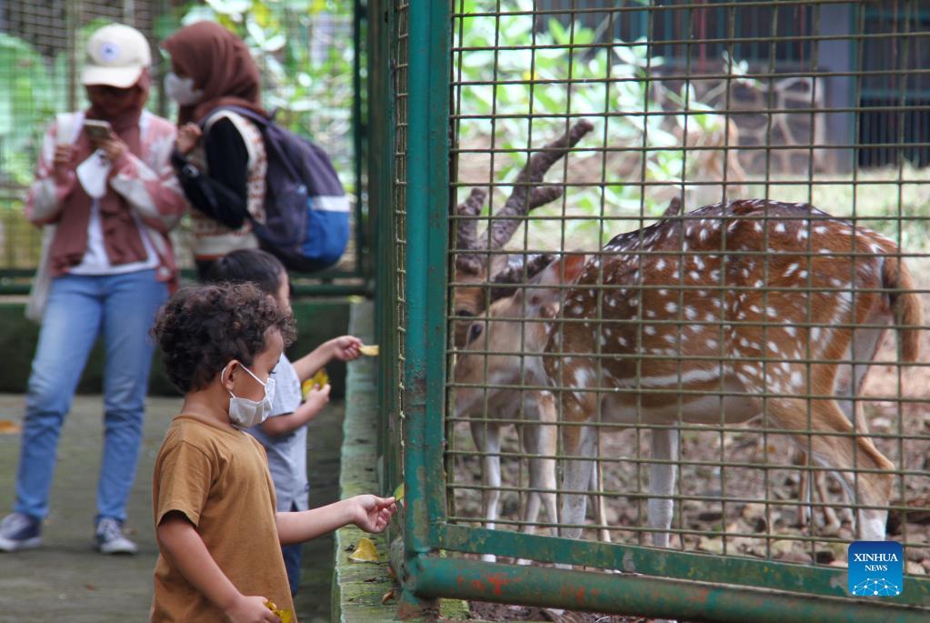Ragunan zoo