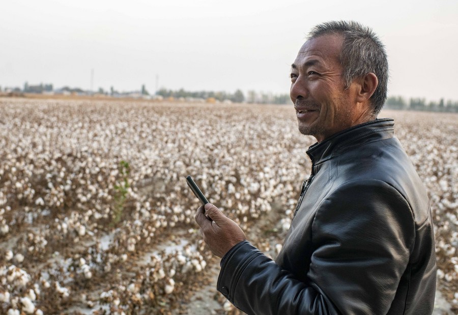 Harvesting the truth Why Xinjiang's cotton fields offer more than