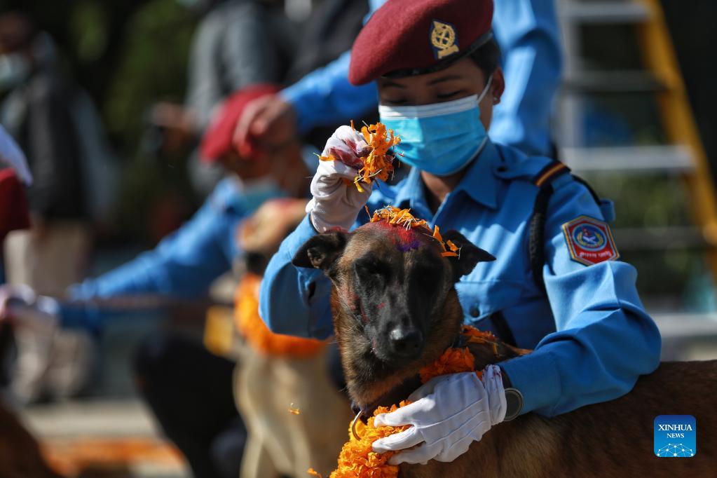 Hindu Kukur Tihar festival celebrated in Kathmandu, Nepal Xinhua