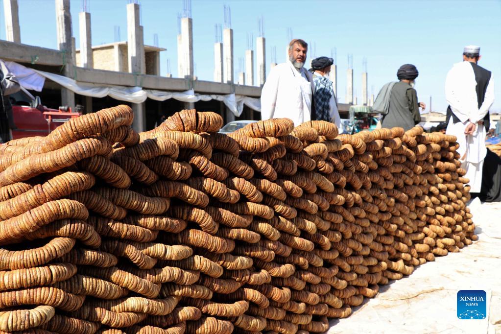 Afghanistan's Kandahar exports 50,000 tons of fruits Xinhua