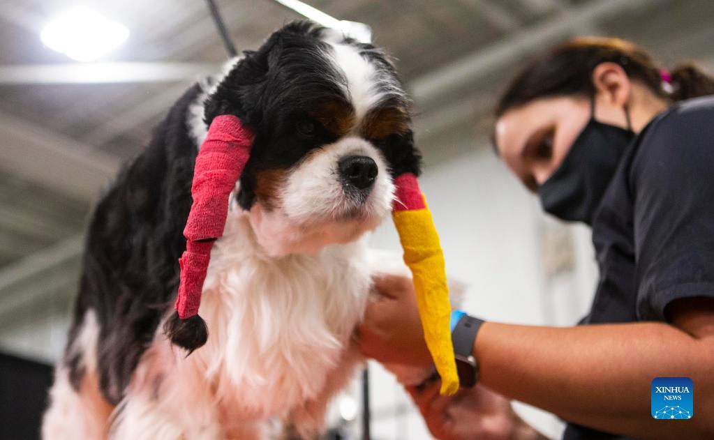 Grooming competition of Toronto Christmas Pet Show held in Mississauga