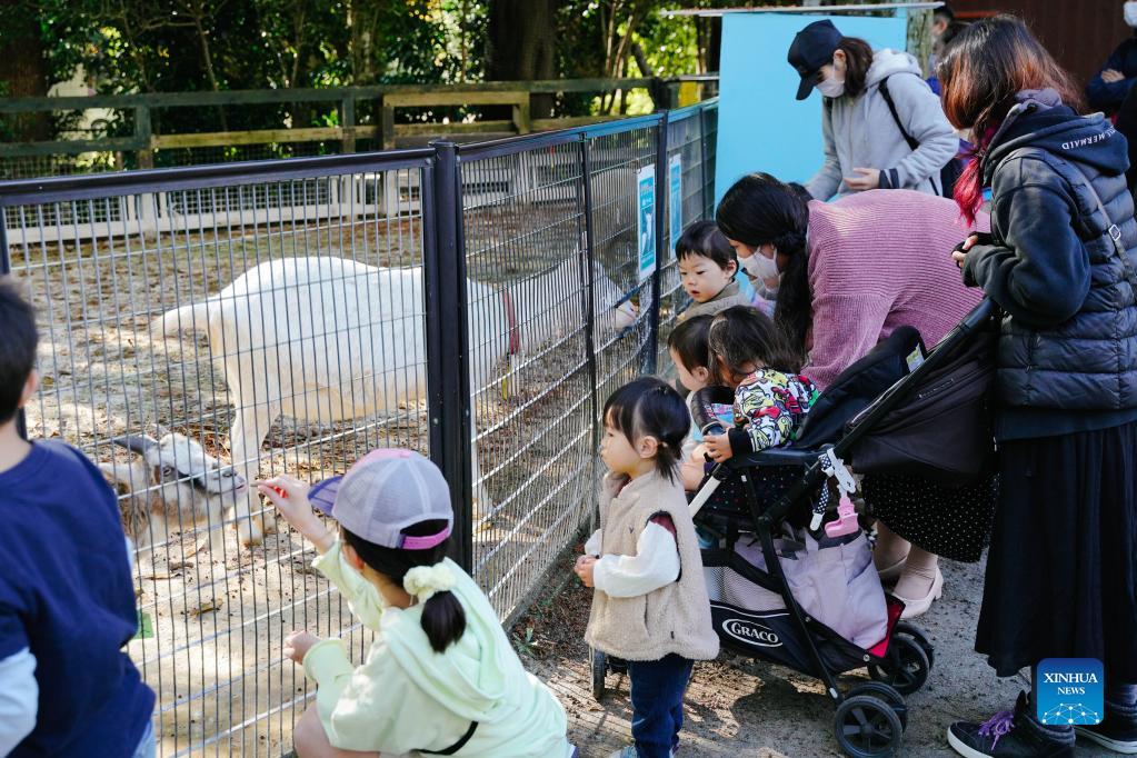 People spend Labor Thanksgiving Day holiday in Japan Xinhua