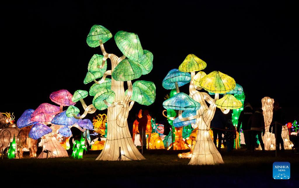 In pics Seasky International Light Show in Ontario, Canada Xinhua