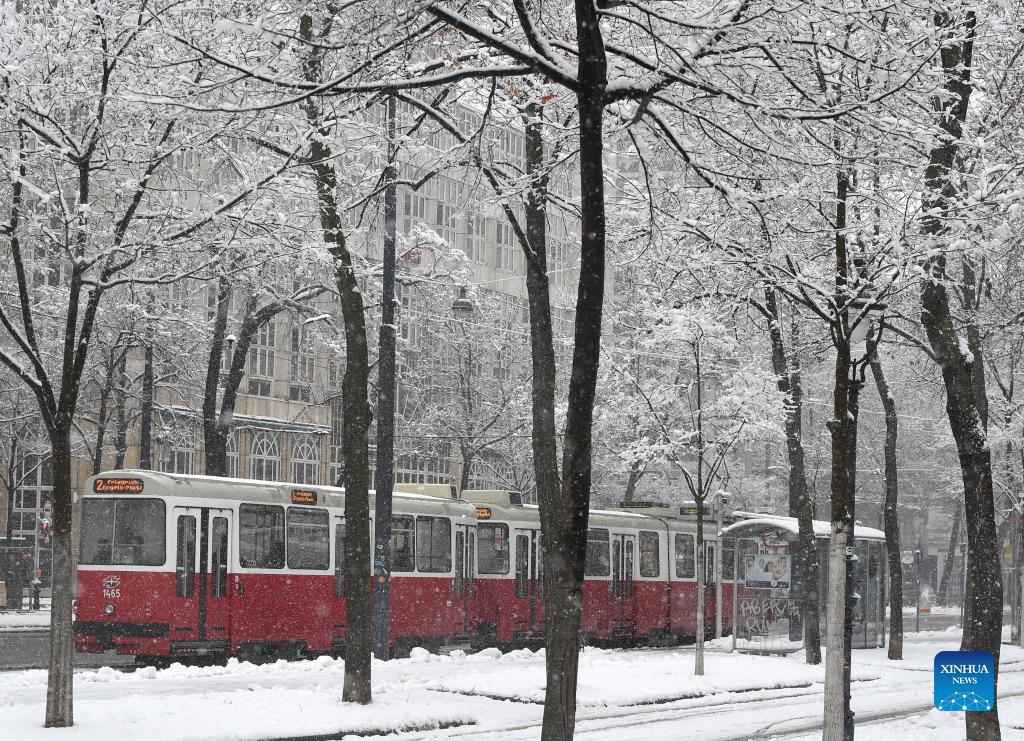 Heavy snowfall hits Vienna Xinhua