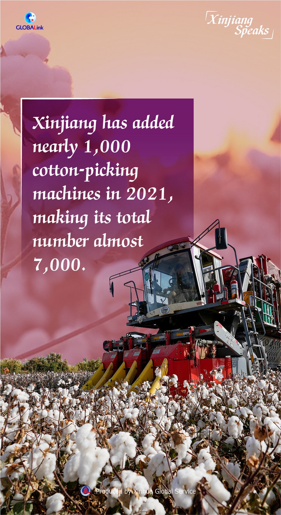 Xinjiang Speaks: Prosperity blooms among cotton workers - Xinhua