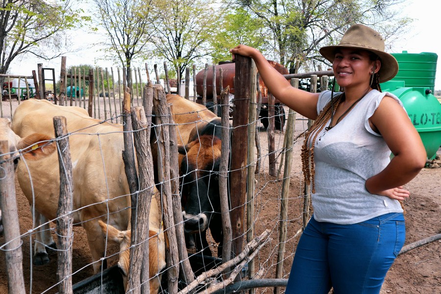 (Hello Africa) Young female dairy farmer in Botswana strives to recover