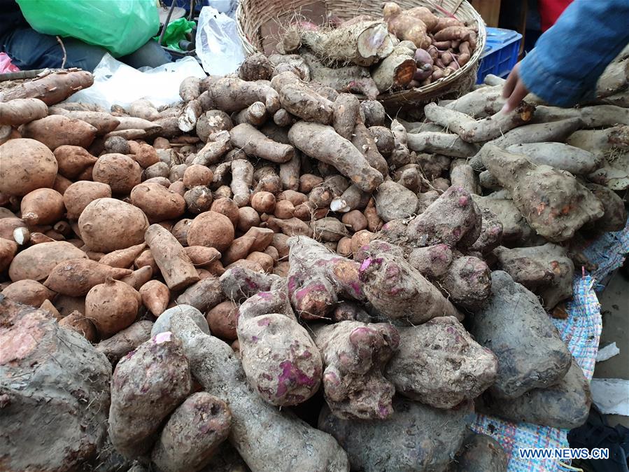 NEPAL-KATHMANDU-MAGHE SANKRANTI FESTIVAL-YAM