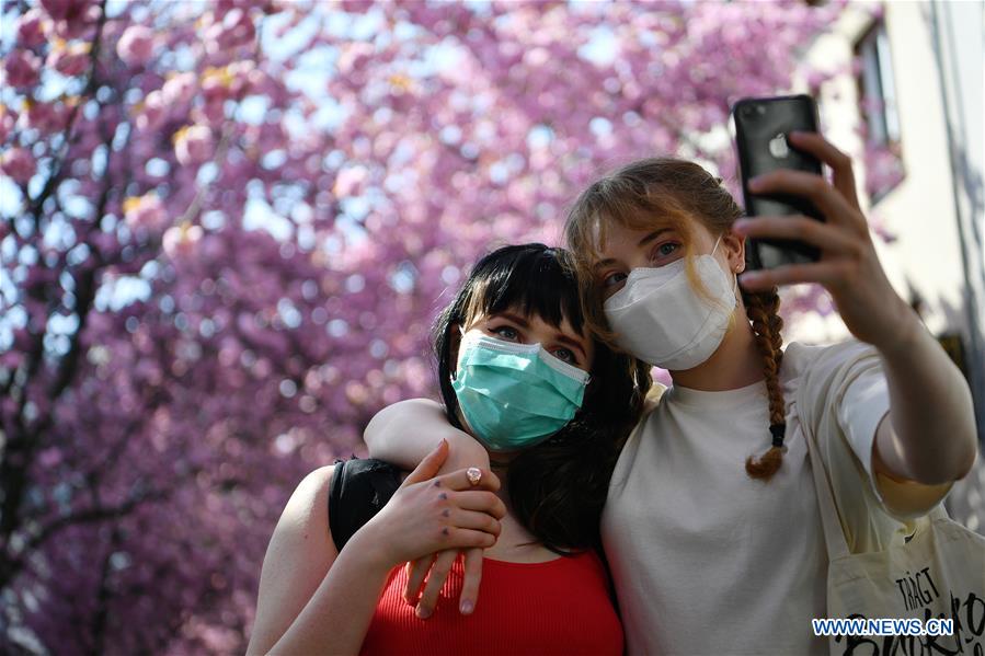 GERMANY-BONN-CHERRY BLOSSOM