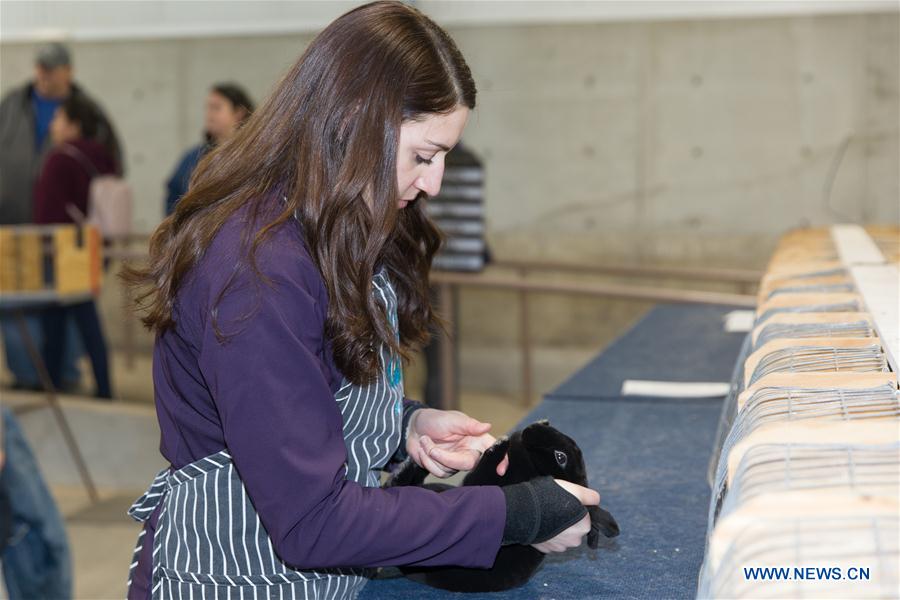 U.S.-TEXAS-FORT WORTH-STOCK SHOW AND RODEO