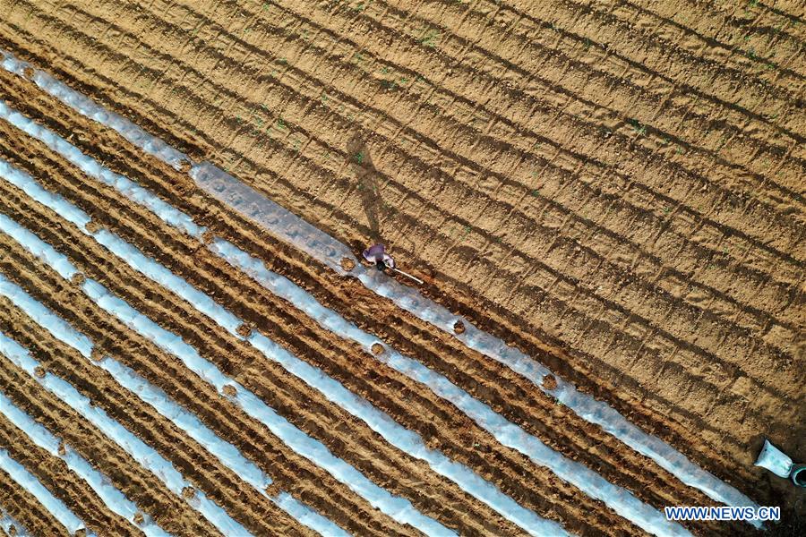 CHINA-HENAN-SANMENXIA-AGRICULTURE (CN)