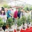 China's service sector creates more jobs: report