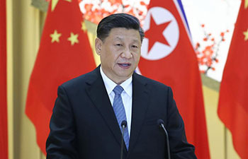 Xi pays state visit to DPRK