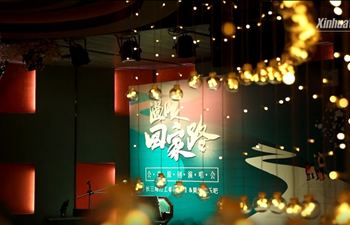 Stories in Spring Festival: Warmth on your way home