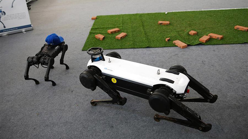 Two quadruped robots stage performance after repair at CIFTIS