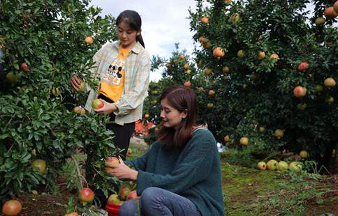 Sichuan sisters sell local agricultural products on e-commerce platform