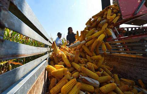 New technologies improve agricultural production efficiency in Shanxi