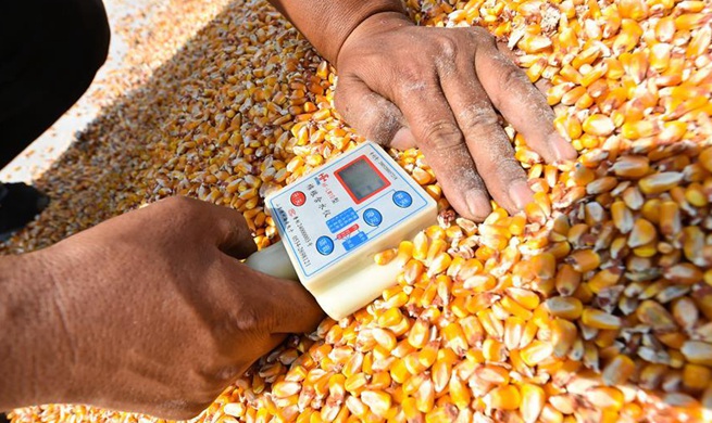 New technologies improve agricultural production efficiency in Shanxi