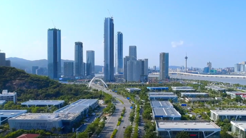 GLOBALink | UN official: China's achievements in sustainable transport remarkable