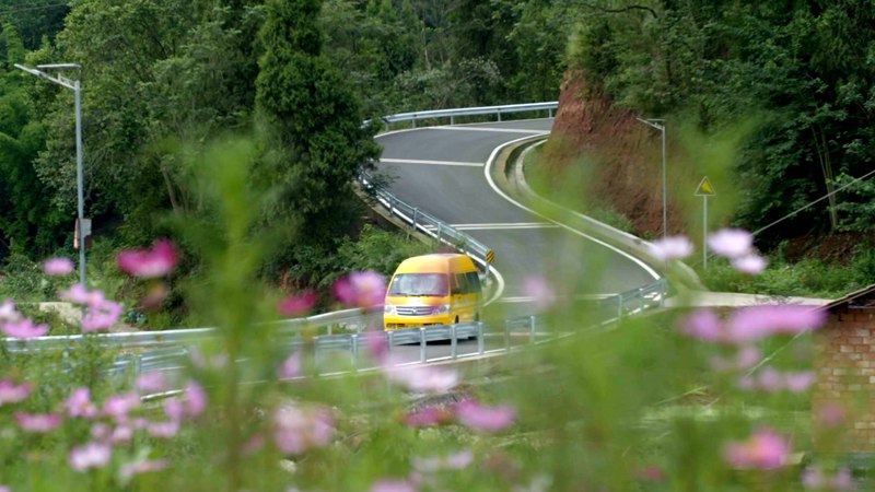 GLOBALink | China's practice in sustainable transport worth learning: experts