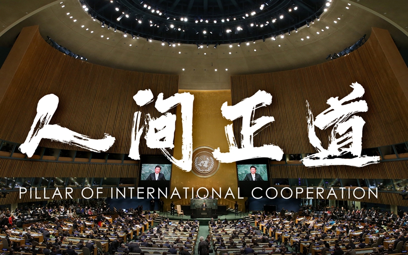 Pillar of International Cooperation