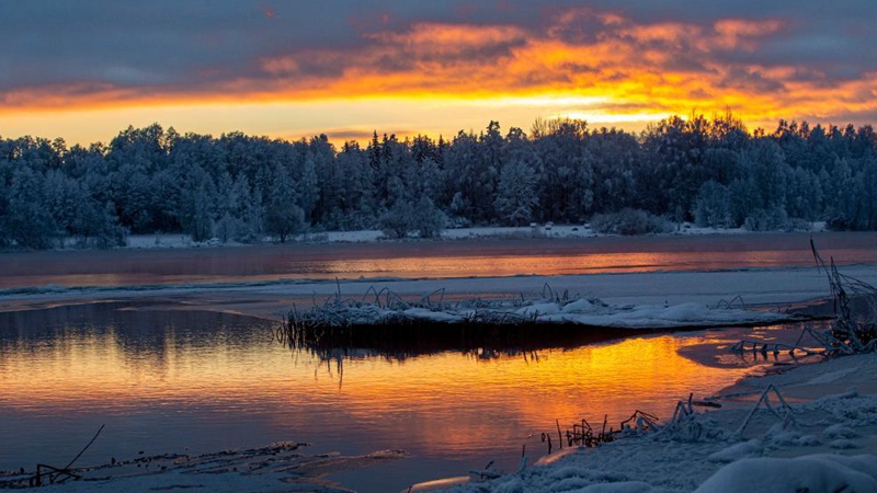 In pics: winter landscape in Ogre, Latvia