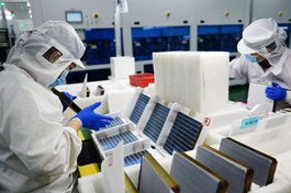 China's photovoltaic cell sector posts brisk output growth