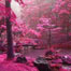Wonderful sceneries around world
