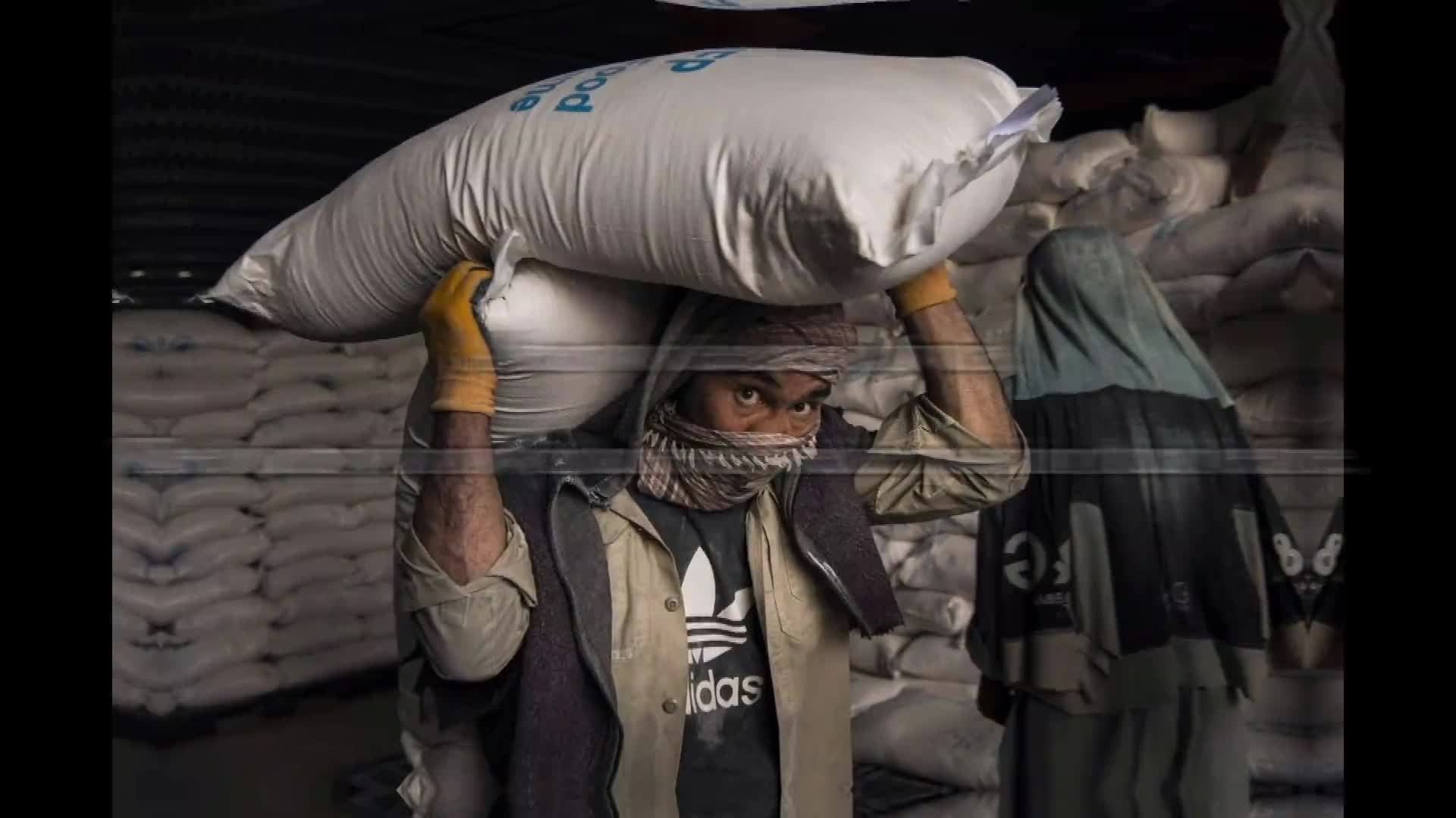 GLOBALink| 14 mln people in Afghanistan face food insecurity: WFP Afghan deputy chief