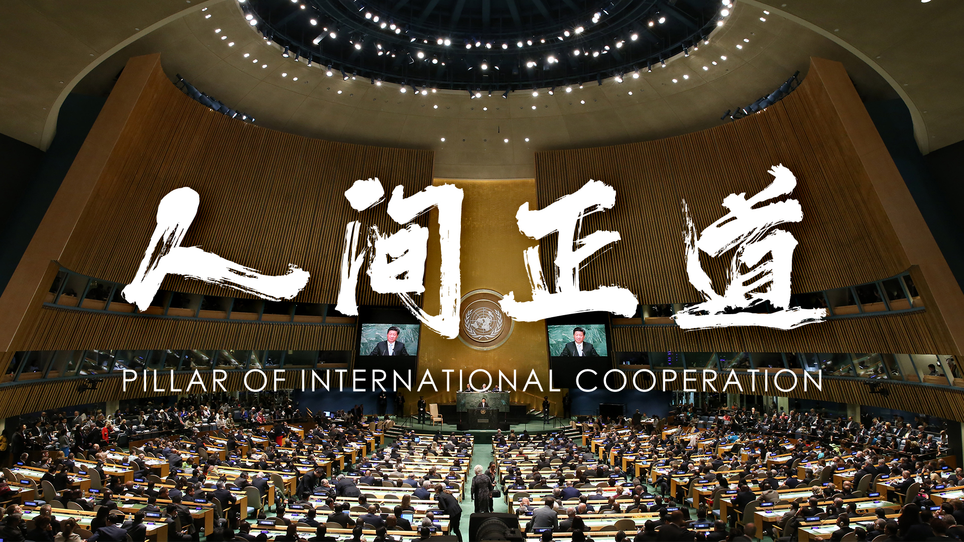 Pillar of International Cooperation