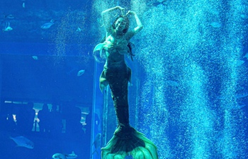 In pics: China's First Mermaid Performance Contest in Sanya