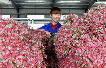 Artificial flowers workshop helps locals get rid of poverty in China's Ningxia