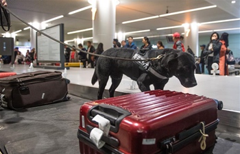 Sniffer dogs on duty to improve efficiency of baggage checking at airport in Changsha