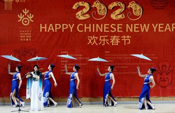 Chinese troupe thrills audience in Uganda ahead of Spring Festival celebrations