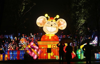 In pics: lantern show in Nantong, Jiangsu