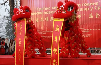 Chinese New Year celebration in Serbia starts with Chinese bazaar, classical concert
