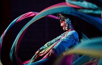 Chinese cultural events held across world to greet upcoming Spring Festival